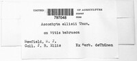 Image Associated With the Occurence